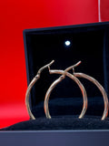 Fancy Earrings